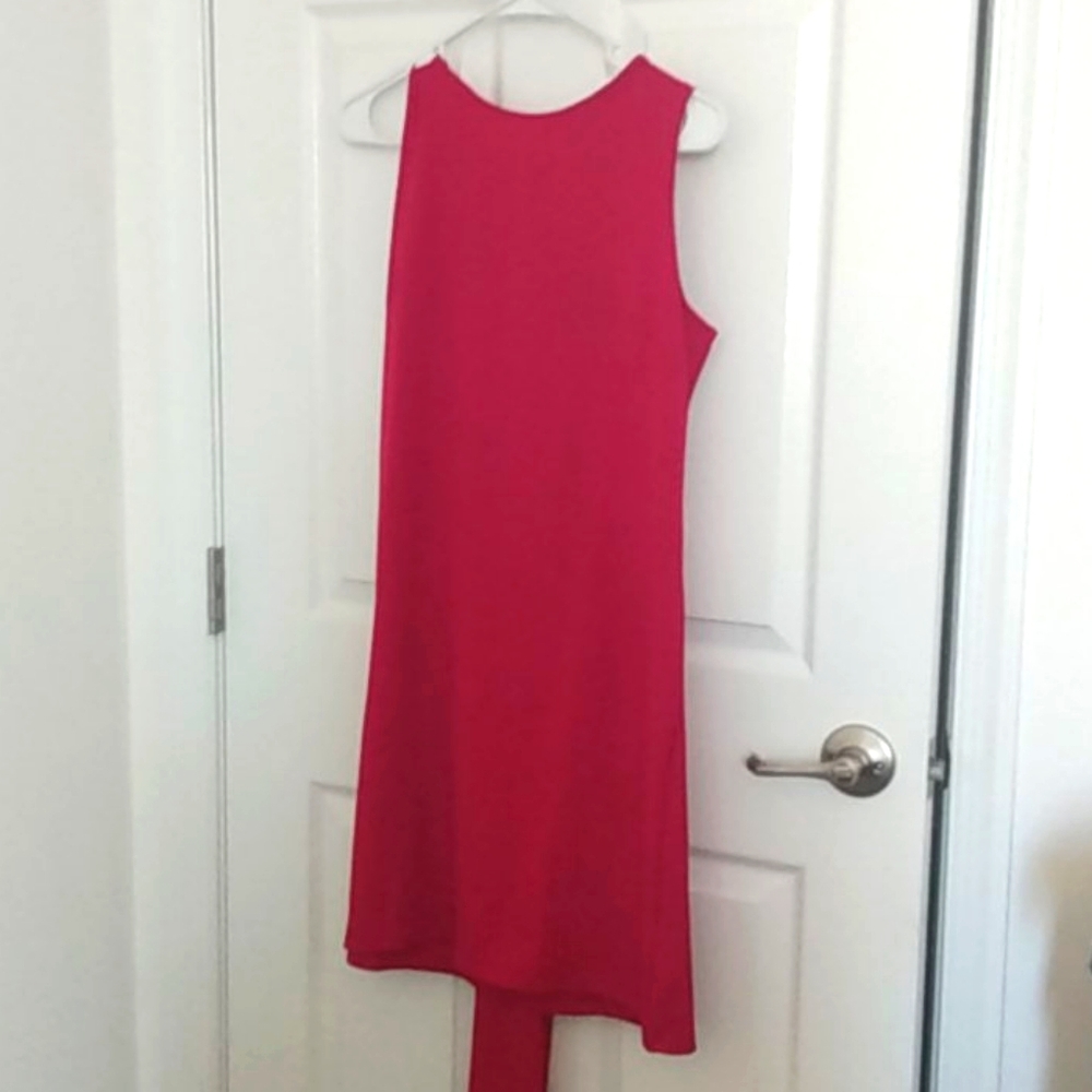 Red shift dress.